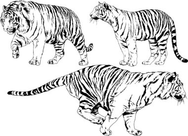 Yırtıcıların temasındaki vektör çizimleri mürekkep dövmeli logolarla elle çizilir.