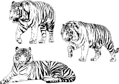 Yırtıcıların temasındaki vektör çizimleri mürekkep dövmeli logolarla elle çizilir.