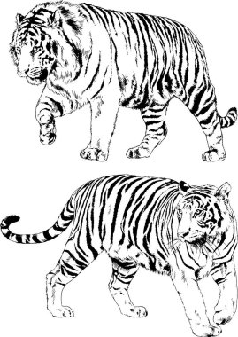 Yırtıcıların temasındaki vektör çizimleri mürekkep dövmeli logolarla elle çizilir.