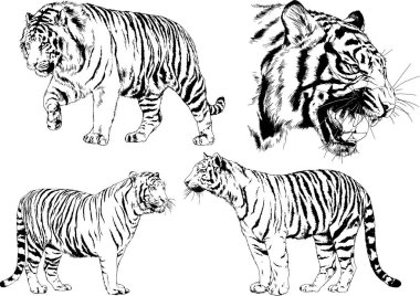 Yırtıcıların temasındaki vektör çizimleri mürekkep dövmeli logolarla elle çizilir.