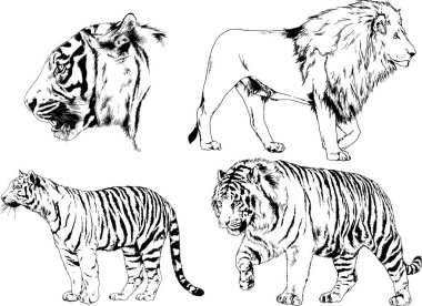 Yırtıcıların temasındaki vektör çizimleri mürekkep dövmeli logolarla elle çizilir.