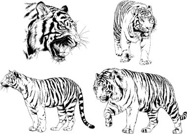 Yırtıcıların temasındaki vektör çizimleri mürekkep dövmeli logolarla elle çizilir.