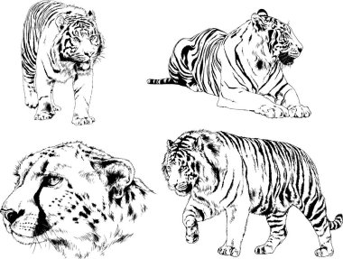 Yırtıcıların temasındaki vektör çizimleri mürekkep dövmeli logolarla elle çizilir.