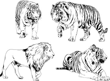 Yırtıcıların temasındaki vektör çizimleri mürekkep dövmeli logolarla elle çizilir.