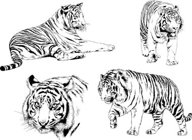 Yırtıcıların temasındaki vektör çizimleri mürekkep dövmeli logolarla elle çizilir.