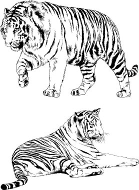 Yırtıcıların temasındaki vektör çizimleri mürekkep dövmeli logolarla elle çizilir.