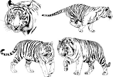 Yırtıcıların temasındaki vektör çizimleri mürekkep dövmeli logolarla elle çizilir.