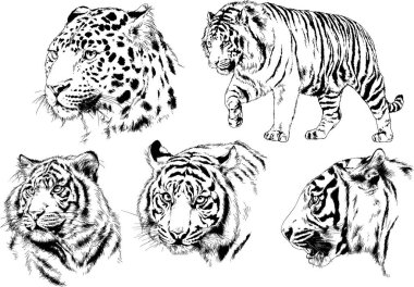 Yırtıcıların temasındaki vektör çizimleri mürekkep dövmeli logolarla elle çizilir.