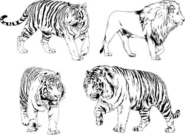 Yırtıcıların temasındaki vektör çizimleri mürekkep dövmeli logolarla elle çizilir.