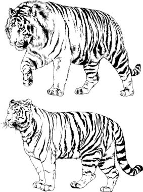 Yırtıcıların temasındaki vektör çizimleri mürekkep dövmeli logolarla elle çizilir.