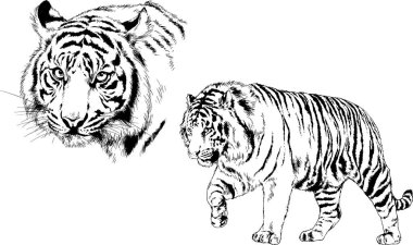 Yırtıcıların temasındaki vektör çizimleri mürekkep dövmeli logolarla elle çizilir.