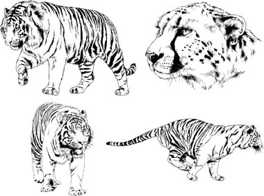 Yırtıcıların temasındaki vektör çizimleri mürekkep dövmeli logolarla elle çizilir.