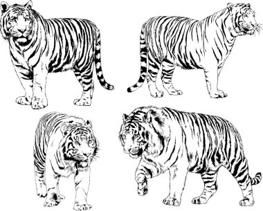 Yırtıcıların temasındaki vektör çizimleri mürekkep dövmeli logolarla elle çizilir.