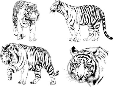 Yırtıcıların temasındaki vektör çizimleri mürekkep dövmeli logolarla elle çizilir.