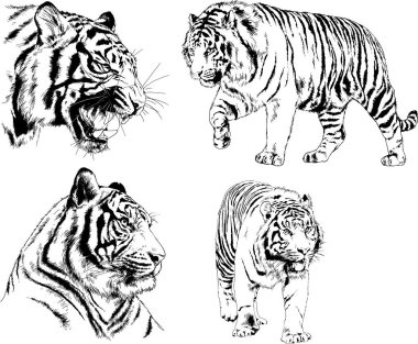 Yırtıcıların temasındaki vektör çizimleri mürekkep dövmeli logolarla elle çizilir.