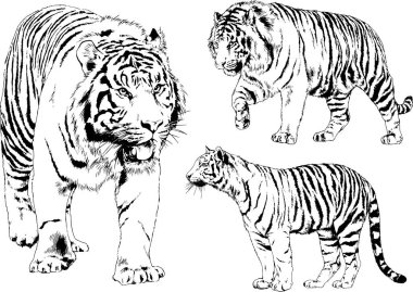 Yırtıcıların temasındaki vektör çizimleri mürekkep dövmeli logolarla elle çizilir.