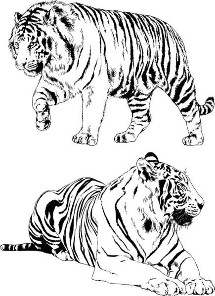 Yırtıcıların temasındaki vektör çizimleri mürekkep dövmeli logolarla elle çizilir.