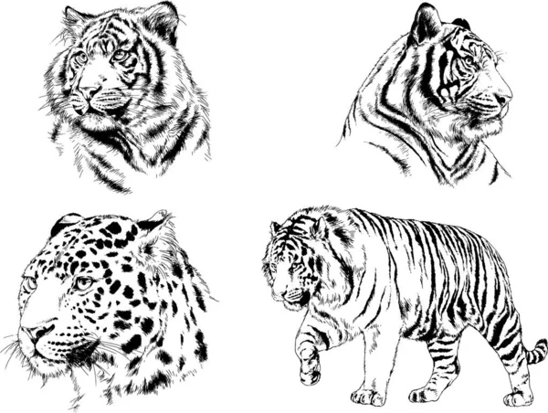 Set Vector Drawings Theme Predators Tigers Drawn Hand Ink Tattoo — Stock Vector