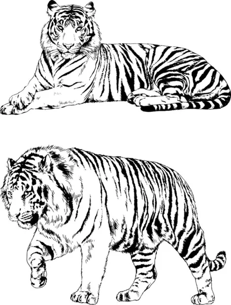 Yırtıcıların temasındaki vektör çizimleri mürekkep dövmeli logolarla elle çizilir.