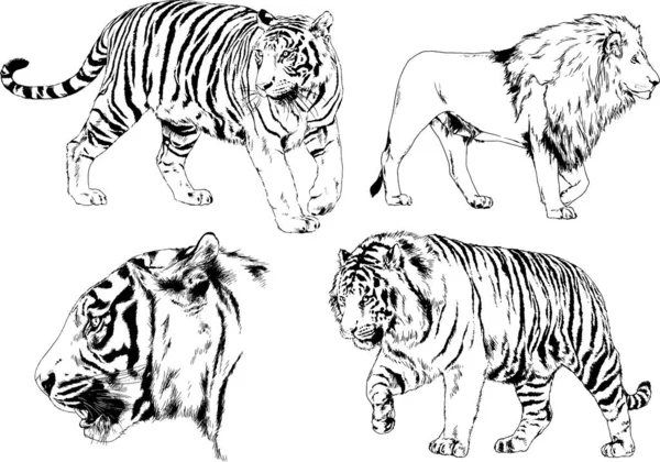 Yırtıcıların temasındaki vektör çizimleri mürekkep dövmeli logolarla elle çizilir.