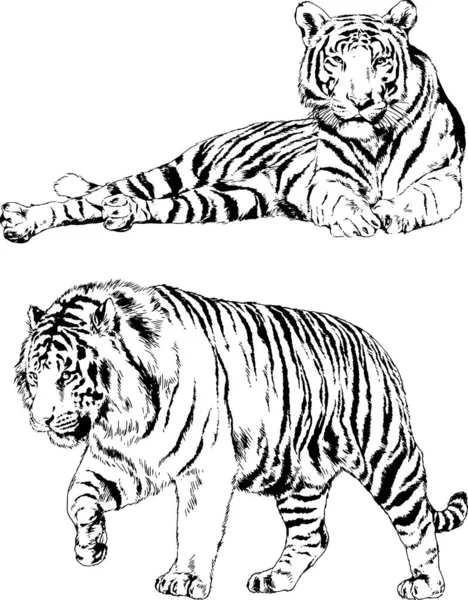 Yırtıcıların temasındaki vektör çizimleri mürekkep dövmeli logolarla elle çizilir.