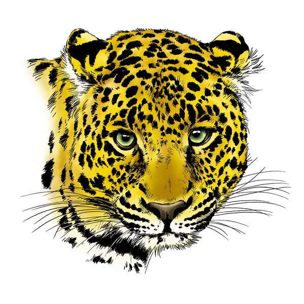 Running Cheetah Hand Drawn Ink White Background Logo Tattoo — Stock Photo, Image