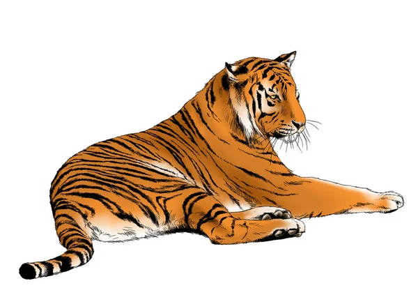 Тигр Нарисованный Чернилами Рук Логотипа Татуировки Хищника — стоковое фото