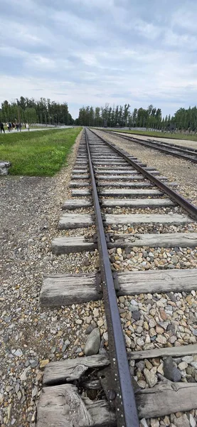 Kırsal bölgedeki demiryolu raylarında eski paslı demiryolu rayları