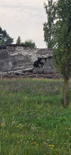 Parktaki eski terk edilmiş ev.