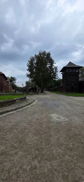 Eski şehrin yıkıntıları. Sabahları en kirli yer.