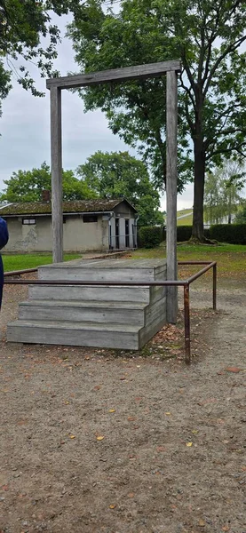 Parktaki tahta bankın dikey görüntüsü.