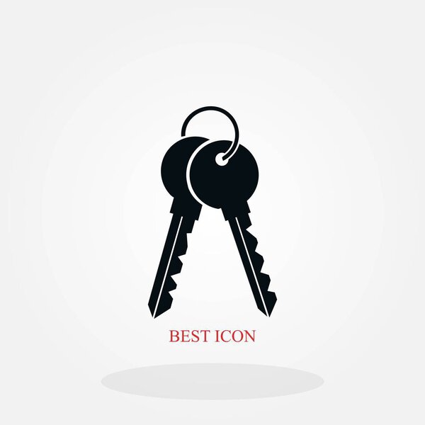 Keys Icon vector, flat design best vector icon