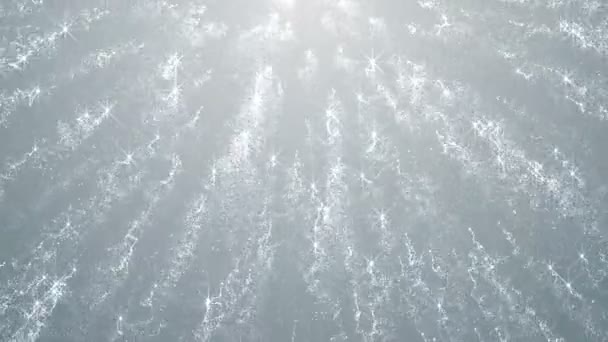 Partículas Blanco Negocio Limpio Brillante Brillo Bokeh Polvo Abstracto Fondo — Vídeos de Stock