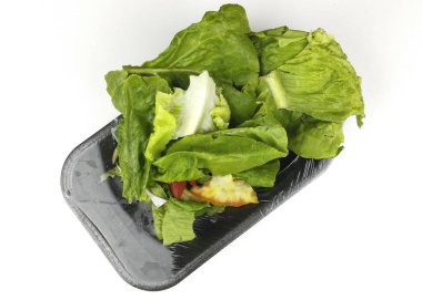 Domates, soğan ve marul organik atık hurda arduvaz levha ve beyaz arka plan - üstten görünüm