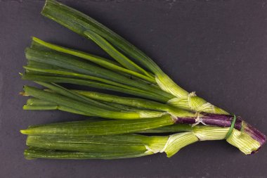 Organik atık Soğan artıklarını kayrak plaka - üstten görünüm