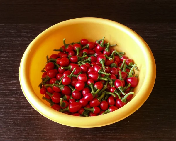 Kırmızı biber bir kase - üstten görünüm