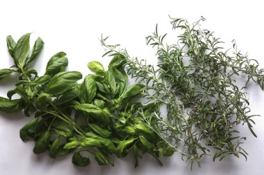 Fesleğen ve aromatik otlar beyaz arka planda - üstten görünüm