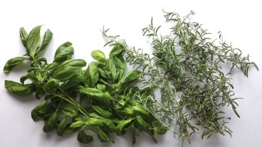 Fesleğen ve aromatik otlar beyaz arka planda - üstten görünüm