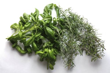 Fesleğen ve aromatik otlar beyaz arka planda - üstten görünüm