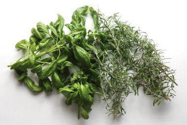 Fesleğen ve aromatik otlar beyaz arka planda - üstten görünüm