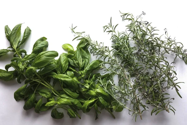 Fesleğen ve aromatik otlar beyaz arka planda - üstten görünüm