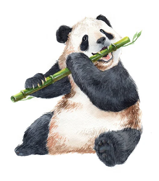 Aquarel Realistische Panda Dier Geïsoleerd Een Witte Achtergrond Afbeelding — Stockfoto
