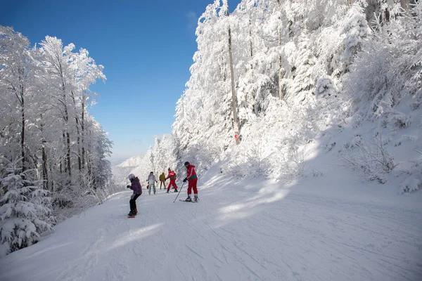 Skifahren im verschneiten Wald im Skigebiet — Stockfoto