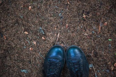 Ormandaki hipster siyah ayakkabı bakarak