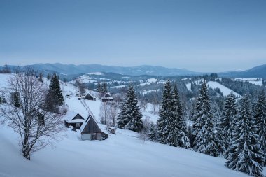 Karpatlar dağlarının kış manzarası. Kırsal alan. Ukrayna, Bukovel