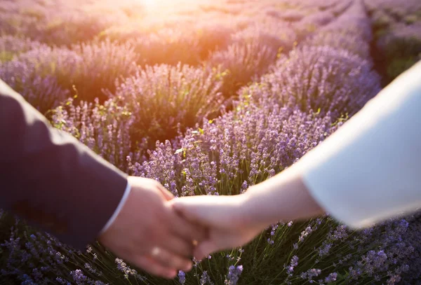 Mariage mains de couple sur fond de champ de fleurs de lavande et coucher de soleil — Photo