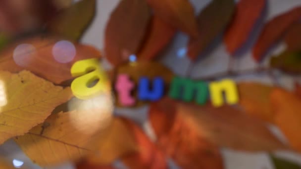 Word autumn of colorful letters through magnifying glass on yellow leaves background. — Stok video