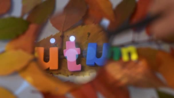 Mot automne de lettres colorées à travers loupe sur fond de feuilles jaunes . — Video