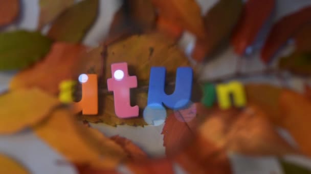 Word jesień kolorowy listów przez szkło powiększające, na tle żółte liście. — Wideo stockowe