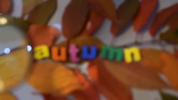 Mot Automne Lettres Colorées Travers Loupe Sur Fond Feuilles Jaunes — Video